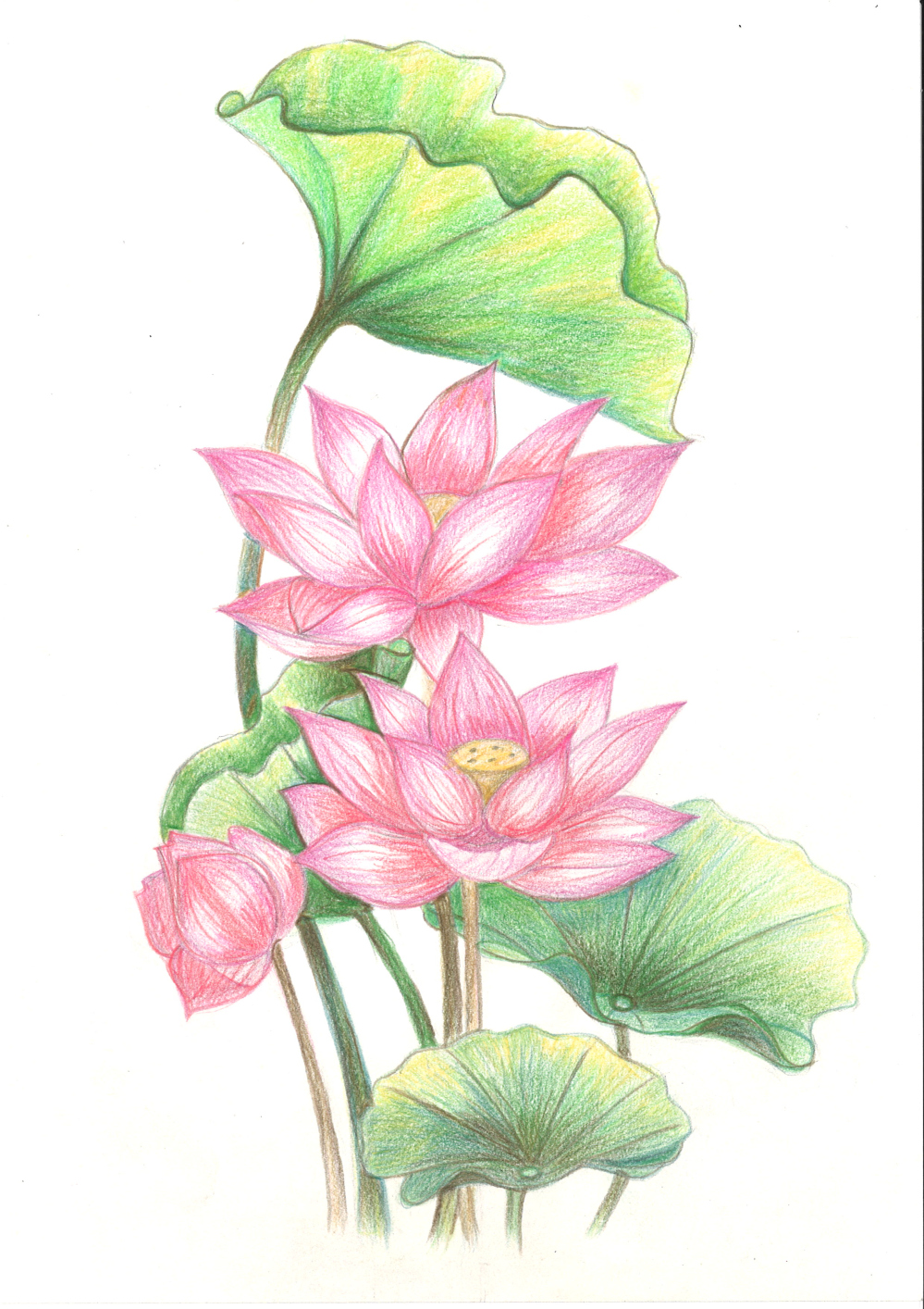 [색연필수채화] 신양순 作 - 화창한 날