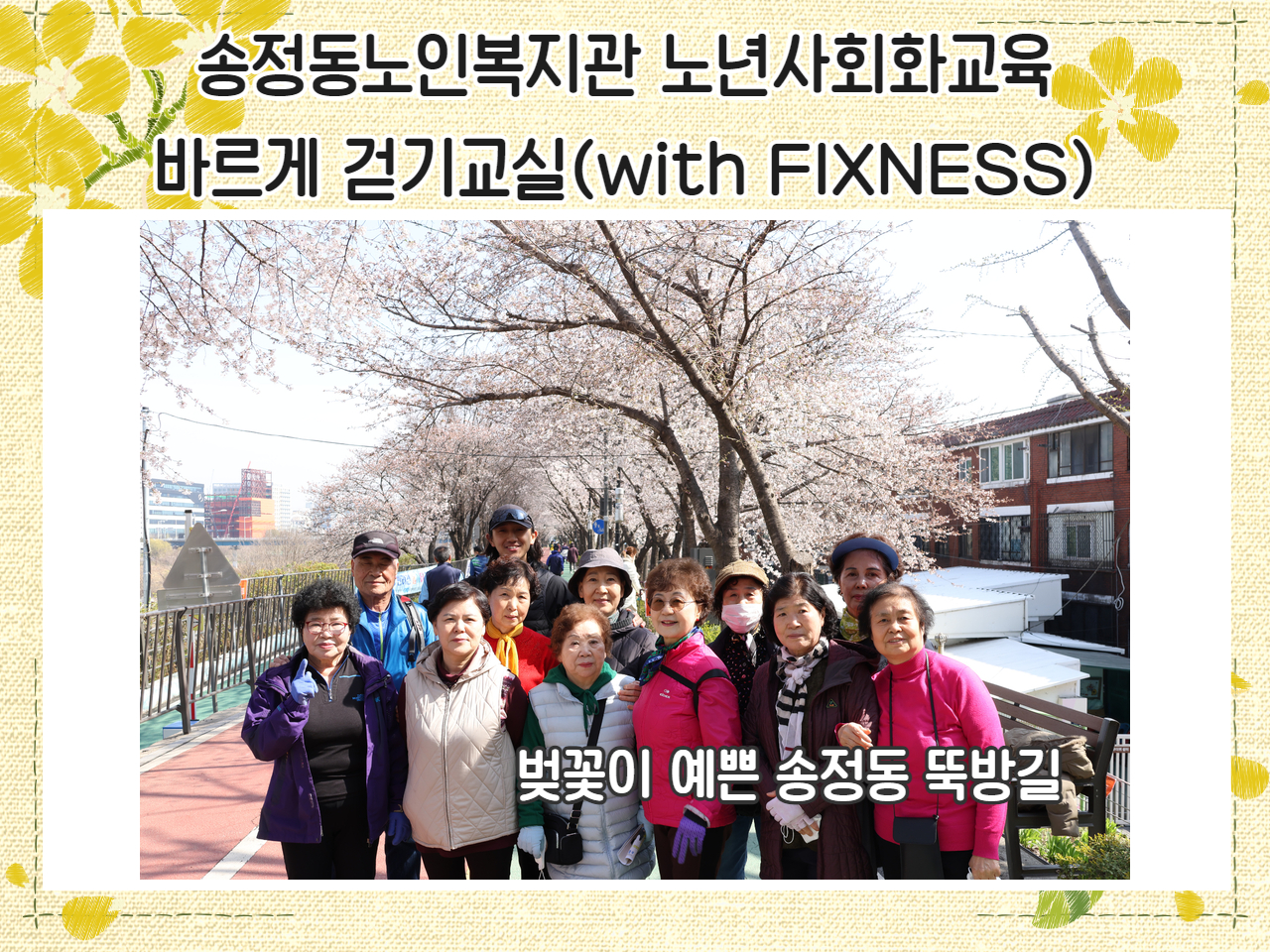 [노년사회화교육] 바르게 걷기교실 벚꽃핀 송정동 뚝방길!